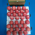 Yantai fruits frais rouge fuji apple meilleur exportateur de prix en Chine